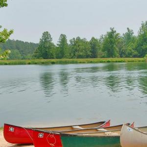 Photo #21 of TBD SHAMOKIN SPRINGS TRL, WINTERGREEN RESORT, VA 0.4 acres