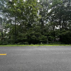 Photo #4 of TBD SHAMOKIN SPRINGS TRL, WINTERGREEN RESORT, VA 0.4 acres
