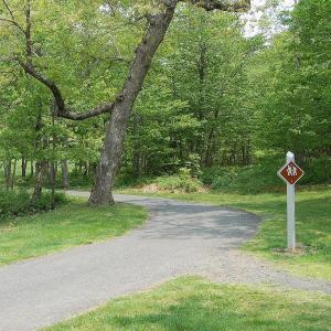 Photo #23 of TBD SHAMOKIN SPRINGS TRL, WINTERGREEN RESORT, VA 0.4 acres