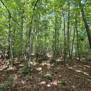 Photo #38 of TBD JAMES ANDERSON HWY, GLADSTONE, VA 100.8 acres