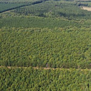 Photo #51 of TBD JAMES ANDERSON HWY, GLADSTONE, VA 100.8 acres