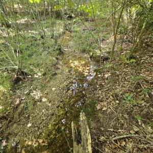 Photo #15 of TBD JAMES ANDERSON HWY, GLADSTONE, VA 100.8 acres