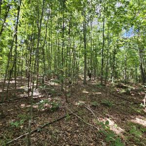 Photo #32 of TBD JAMES ANDERSON HWY, GLADSTONE, VA 100.8 acres
