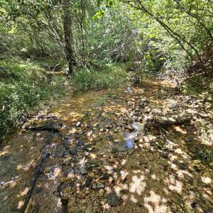 Photo #5 of TBD JAMES ANDERSON HWY, GLADSTONE, VA 100.8 acres