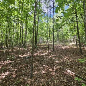 Photo #34 of TBD JAMES ANDERSON HWY, GLADSTONE, VA 100.8 acres