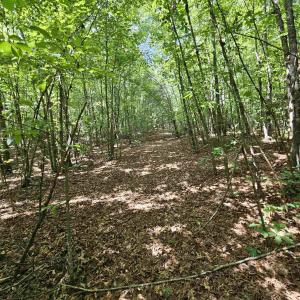 Photo #8 of TBD JAMES ANDERSON HWY, GLADSTONE, VA 100.8 acres