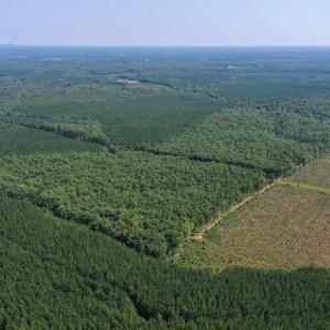 Photo #50 of TBD JAMES ANDERSON HWY, GLADSTONE, VA 100.8 acres