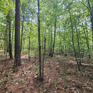 Photo #18 of TBD JAMES ANDERSON HWY, GLADSTONE, VA 100.8 acres