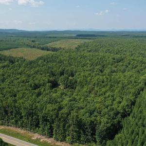 Photo #57 of TBD JAMES ANDERSON HWY, GLADSTONE, VA 100.8 acres