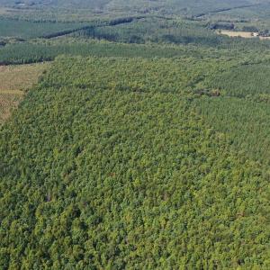 Photo #53 of TBD JAMES ANDERSON HWY, GLADSTONE, VA 100.8 acres