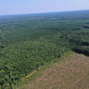 Photo #44 of TBD JAMES ANDERSON HWY, GLADSTONE, VA 100.8 acres