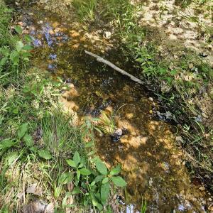 Photo #10 of TBD JAMES ANDERSON HWY, GLADSTONE, VA 100.8 acres