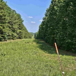 Photo #41 of TBD JAMES ANDERSON HWY, GLADSTONE, VA 100.8 acres
