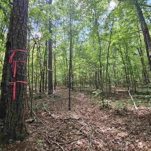 Photo #1 of TBD JAMES ANDERSON HWY, GLADSTONE, VA 100.8 acres