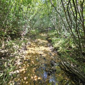 Photo #27 of TBD JAMES ANDERSON HWY, GLADSTONE, VA 100.8 acres