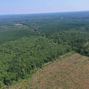 Photo #43 of TBD JAMES ANDERSON HWY, GLADSTONE, VA 100.8 acres