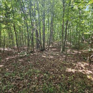 Photo #30 of TBD JAMES ANDERSON HWY, GLADSTONE, VA 100.8 acres