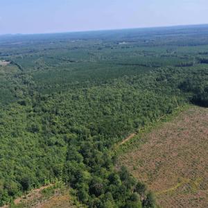 Photo #55 of TBD JAMES ANDERSON HWY, GLADSTONE, VA 100.8 acres