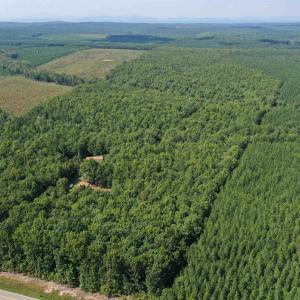 Photo #48 of TBD JAMES ANDERSON HWY, GLADSTONE, VA 100.8 acres