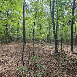 Photo #21 of TBD JAMES ANDERSON HWY, GLADSTONE, VA 100.8 acres