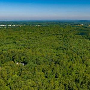 Photo #14 of Lot 2 STAG RD, BREMO BLUFF, VA 16.6 acres