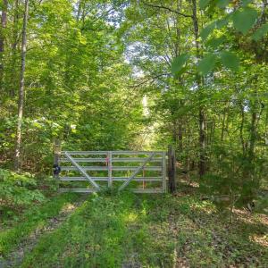 Photo #4 of Lot 1 STAG RD, BREMO BLUFF, VA 16.6 acres