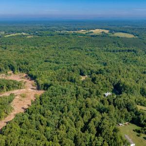 Photo #3 of Lot 1 STAG RD, BREMO BLUFF, VA 16.6 acres