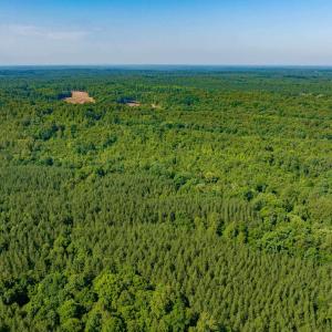 Photo #19 of Lot 1 STAG RD, BREMO BLUFF, VA 16.6 acres