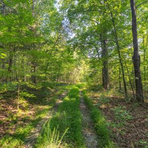 Photo #5 of Lot 1 STAG RD, BREMO BLUFF, VA 16.6 acres