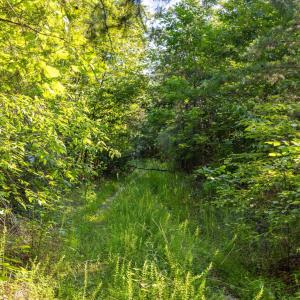 Photo #8 of Lot 1 STAG RD, BREMO BLUFF, VA 16.6 acres