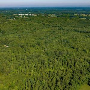 Photo #9 of Lot 1 STAG RD, BREMO BLUFF, VA 16.6 acres