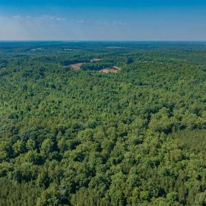 Photo #7 of Lot 1 STAG RD, BREMO BLUFF, VA 16.6 acres