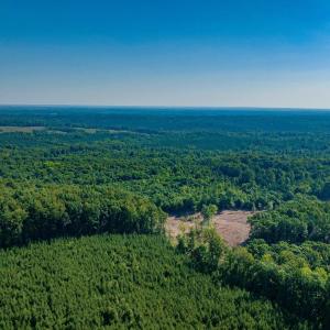Photo #17 of Lot 1 STAG RD, BREMO BLUFF, VA 16.6 acres