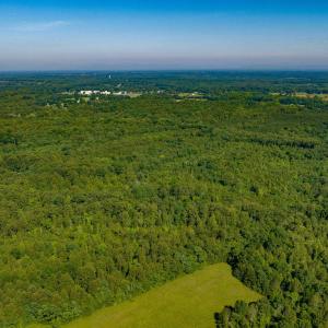Photo #14 of Lot 1 STAG RD, BREMO BLUFF, VA 16.6 acres
