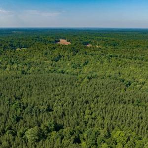 Photo #13 of Lot 1 STAG RD, BREMO BLUFF, VA 16.6 acres
