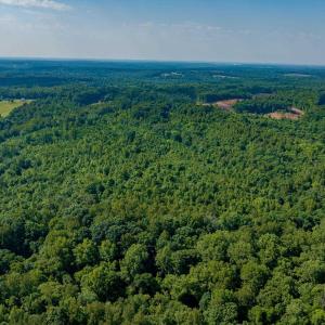 Photo #12 of Lot 1 STAG RD, BREMO BLUFF, VA 16.6 acres