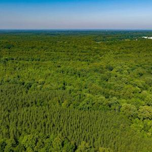 Photo #15 of Lot 1 STAG RD, BREMO BLUFF, VA 16.6 acres
