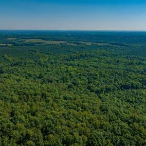 Photo #18 of Lot 1 STAG RD, BREMO BLUFF, VA 16.6 acres