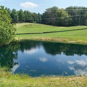 Photo #2 of TBD MORRIS MILL RD, STAUNTON, VA 4.7 acres
