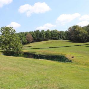 Photo #1 of TBD MORRIS MILL RD, STAUNTON, VA 4.7 acres