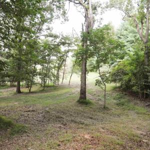 Photo #5 of TBD MORRIS MILL RD, STAUNTON, VA 4.7 acres