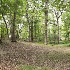 Photo #4 of TBD MORRIS MILL RD, STAUNTON, VA 4.7 acres
