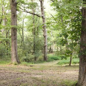 Photo #6 of TBD MORRIS MILL RD, STAUNTON, VA 4.7 acres