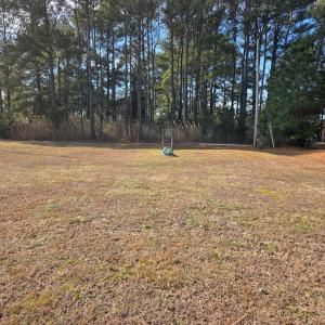 Photo #8 of LOT 205 HIBISCUS DR, CHINCOTEAGUE, VA 12.0 acres