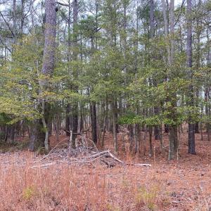 Photo #10 of lot 9 WISE POINT LN, ONANCOCK, VA 13.3 acres