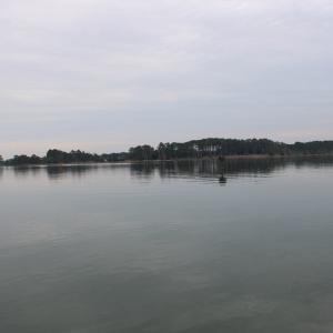 Photo #13 of lot 9 WISE POINT LN, ONANCOCK, VA 13.3 acres