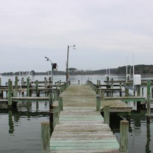 Photo #4 of lot 9 WISE POINT LN, ONANCOCK, VA 13.3 acres