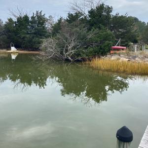 Photo #6 of lot 9 WISE POINT LN, ONANCOCK, VA 13.3 acres