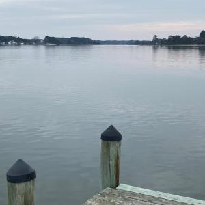 Photo #7 of lot 9 WISE POINT LN, ONANCOCK, VA 13.3 acres