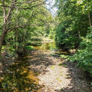 Photo #51 of TBD HANKEY MOUNTAIN HWY, CHURCHVILLE, VA 2.3 acres